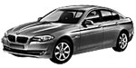 BMW F10 C1017 Fault Code
